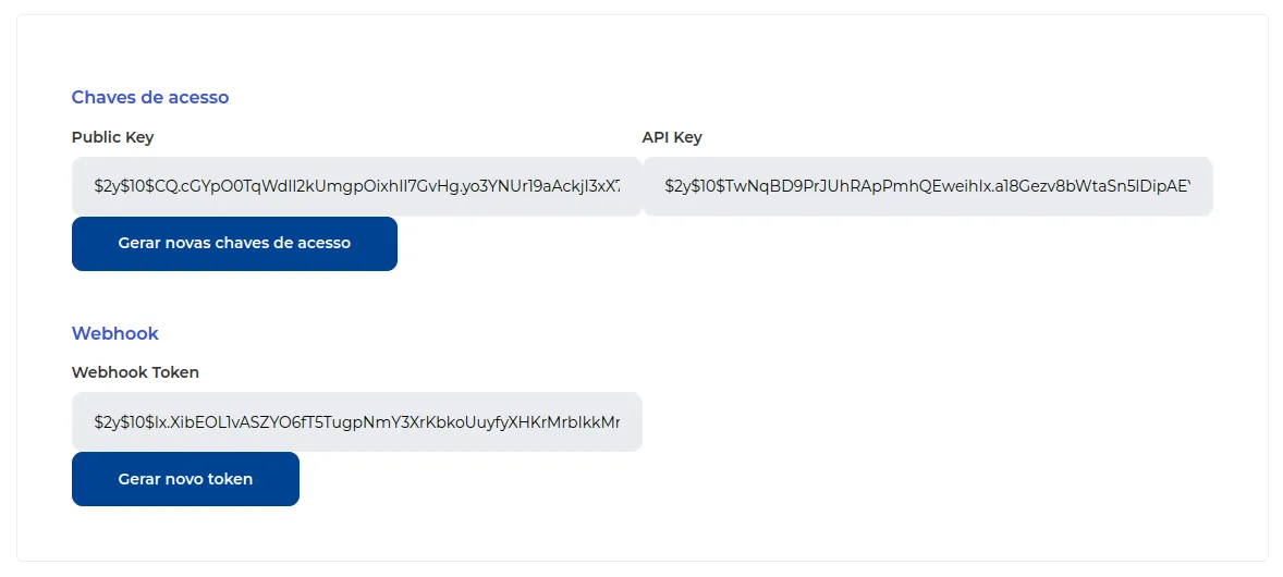 Tela com Public Key, API Key e Webhook Token