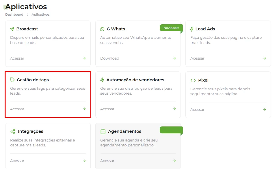 Tela do passo: Acesse Gestão de Tags