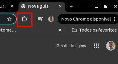 Tela do passo: Para iniciarmos clique nas Extensões do seu navegador