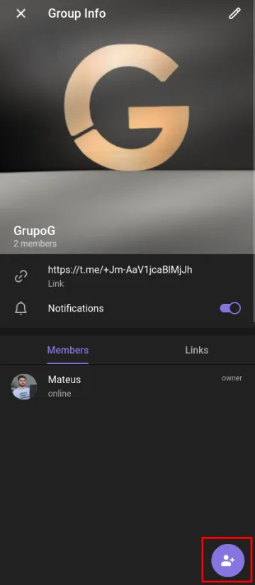 Opção Adicionar Contato no grupo