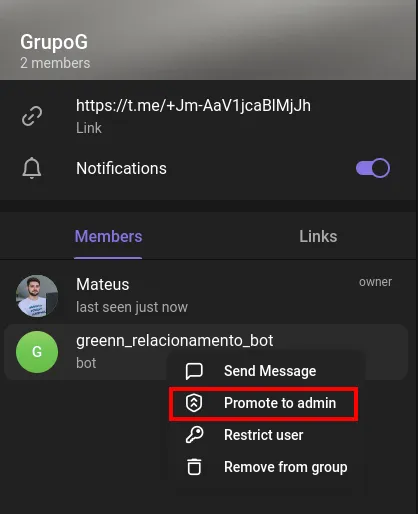 Permissão de administrador para o bot