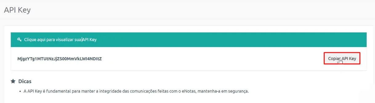 API Key gerada no E-Notas