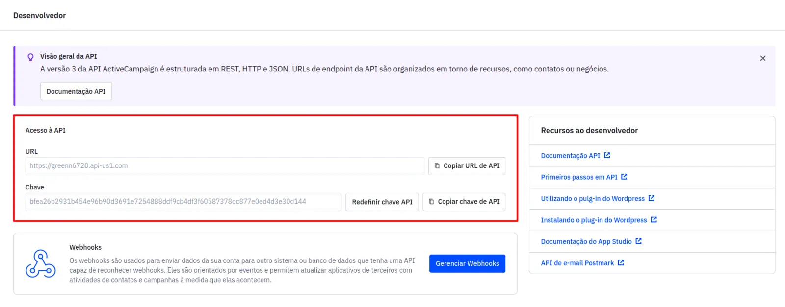 Aba Desenvolvedor mostrando a URL e a API Key