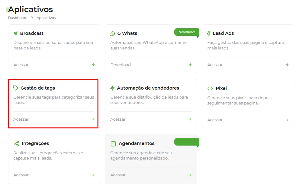 Opção Gestão de Tags